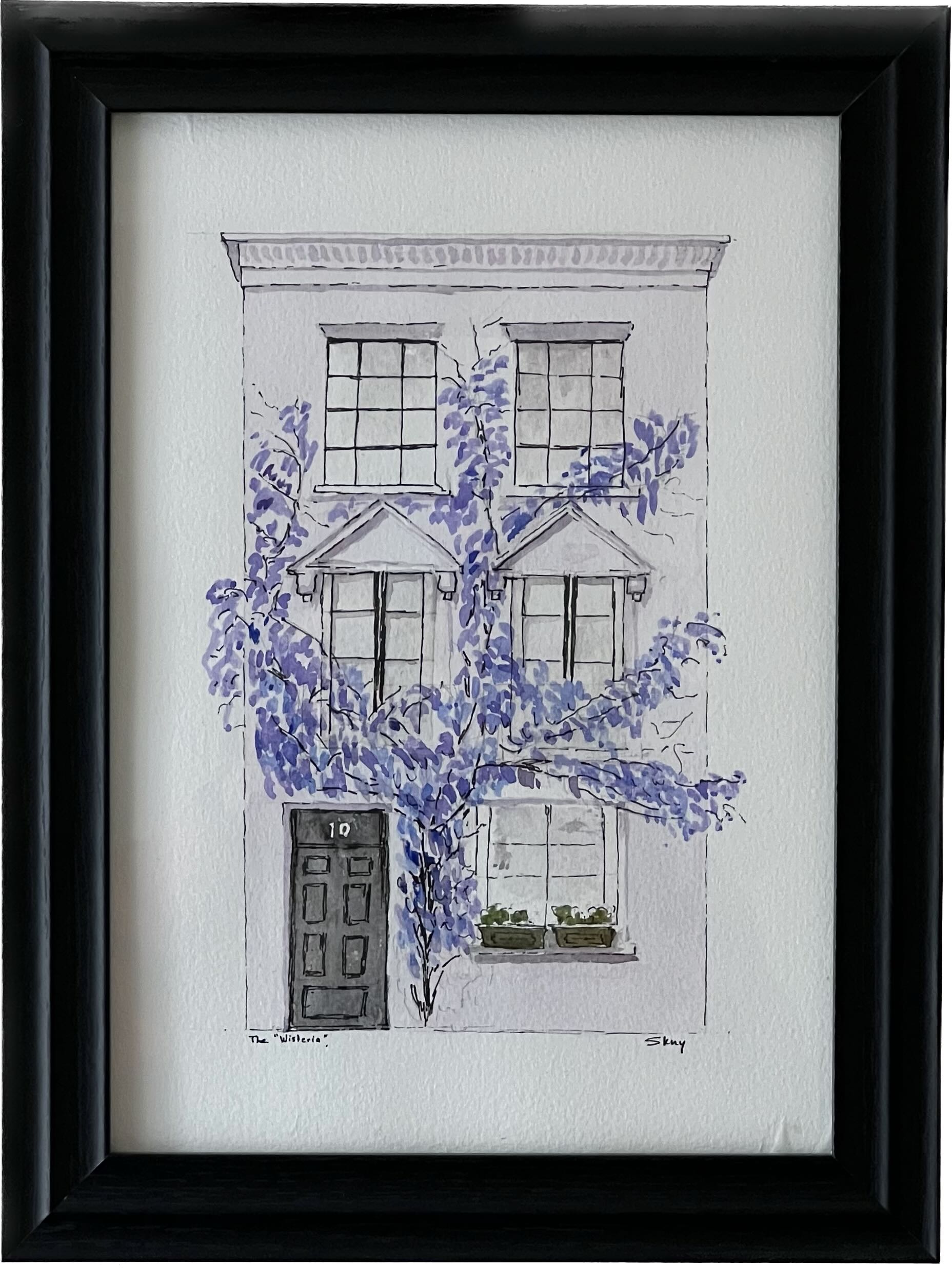 Wisteria