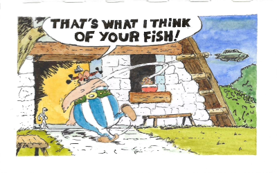 That's what I think of your fish