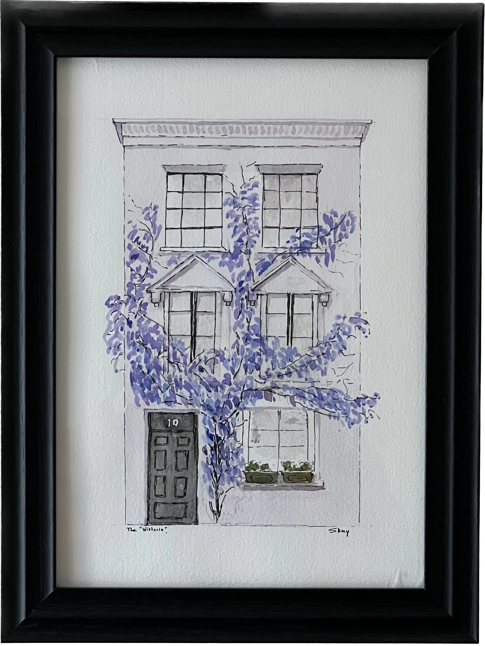 Wisteria